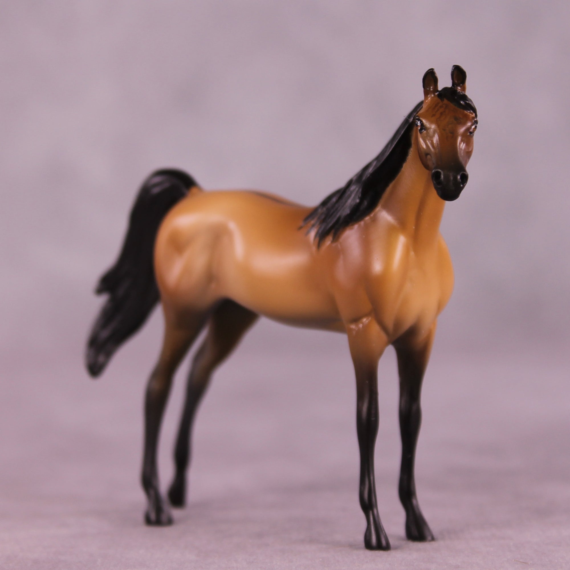 Empire Waist OOAK FCM Chip Arabian by Tegan Davis GS825