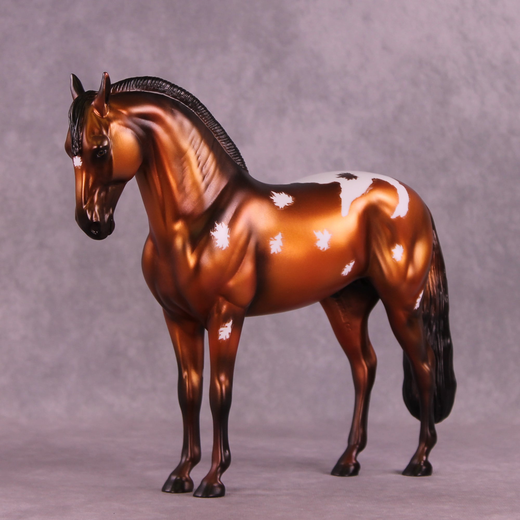 Autumnal OOAK Andalusian by Jamie Adamson DDOOAKs25