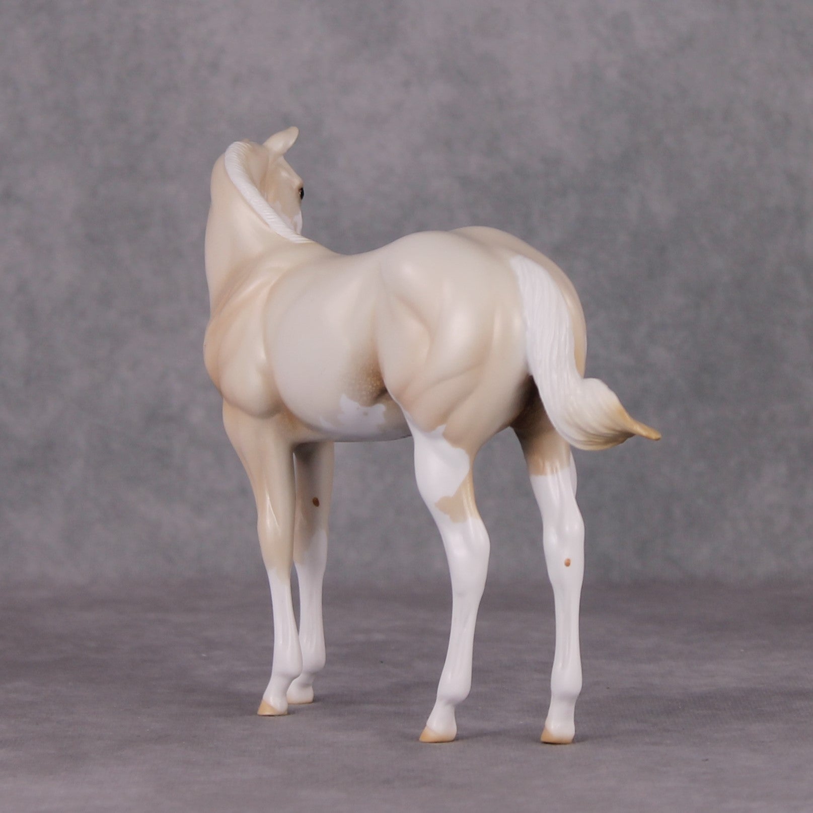 Oliver Twist LE-30 Cream Champagne Sabino Custom Weanling Painted By Ashley Palmer CL24