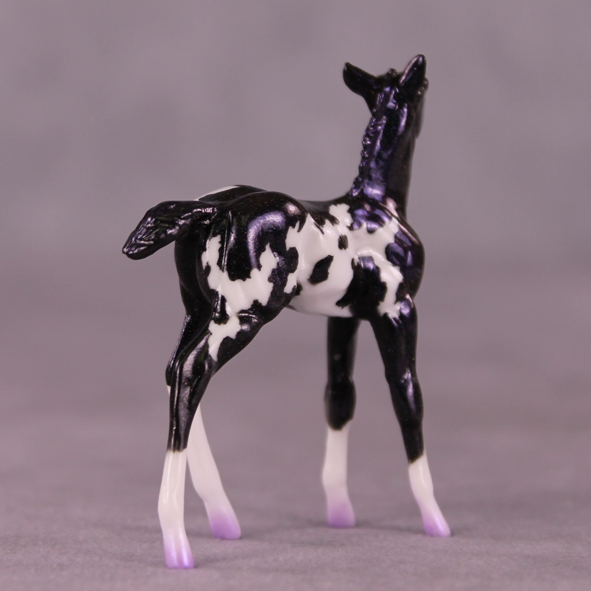 "Fizz" NO FINISH CHANGE OOAK Foal Chip by Erin Corbett EQ25