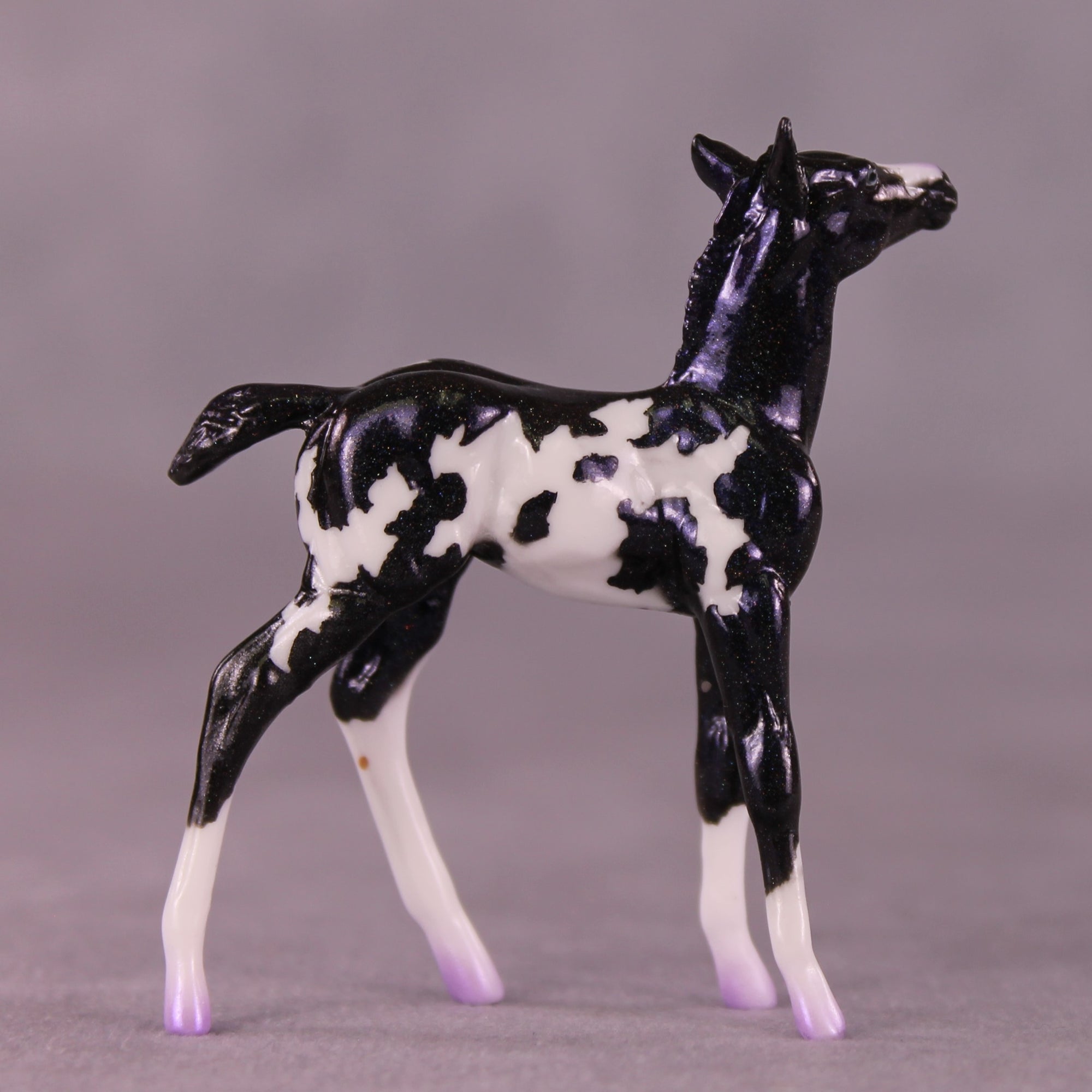 "Fizz" NO FINISH CHANGE OOAK Foal Chip by Erin Corbett EQ25