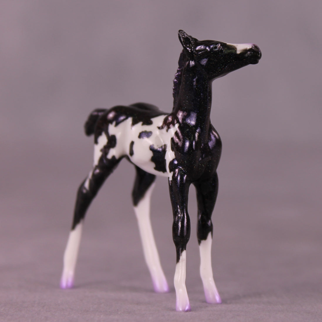 "Fizz" NO FINISH CHANGE OOAK Foal Chip by Erin Corbett EQ25