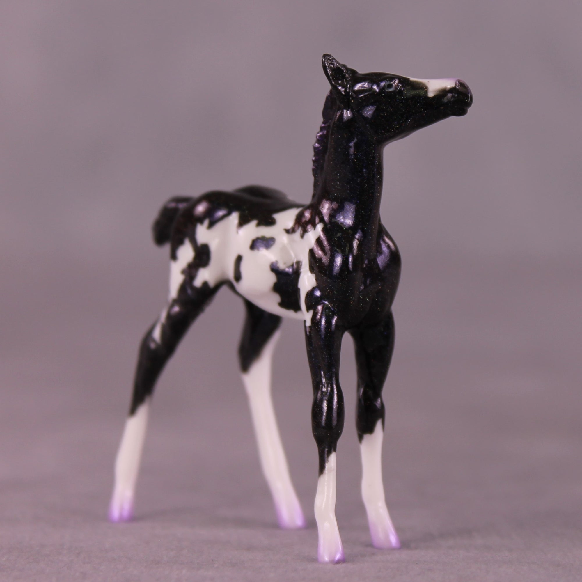 "Fizz" NO FINISH CHANGE OOAK Foal Chip by Erin Corbett EQ25