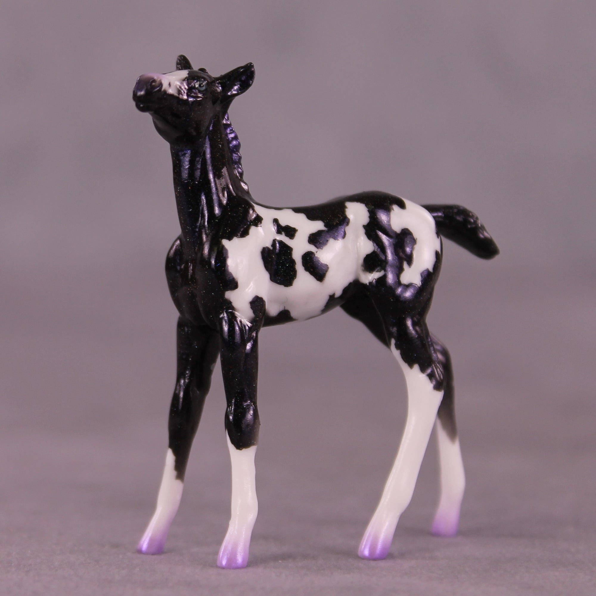 "Fizz" NO FINISH CHANGE OOAK Foal Chip by Erin Corbett EQ25