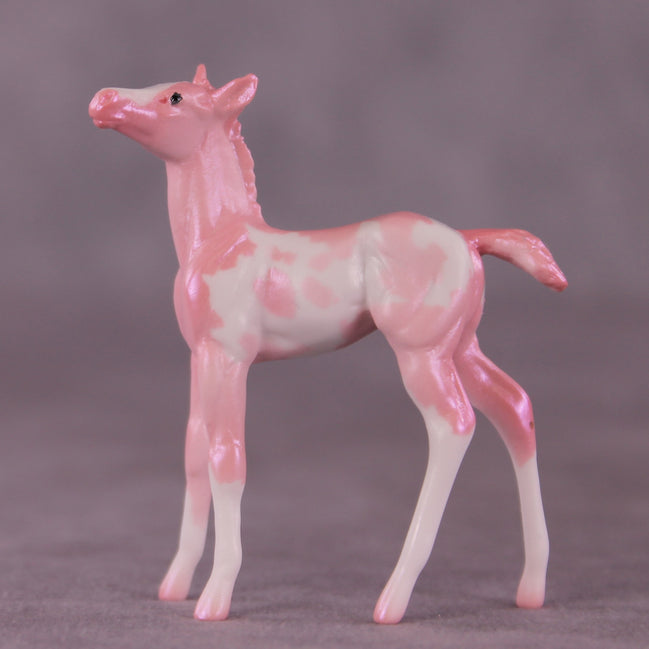 "Pepita" LE-2 Foal Chip by Erin Corbett EQ25