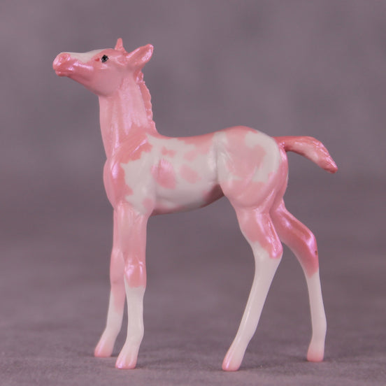 "Pepita" LE-2 Foal Chip by Erin Corbett EQ25