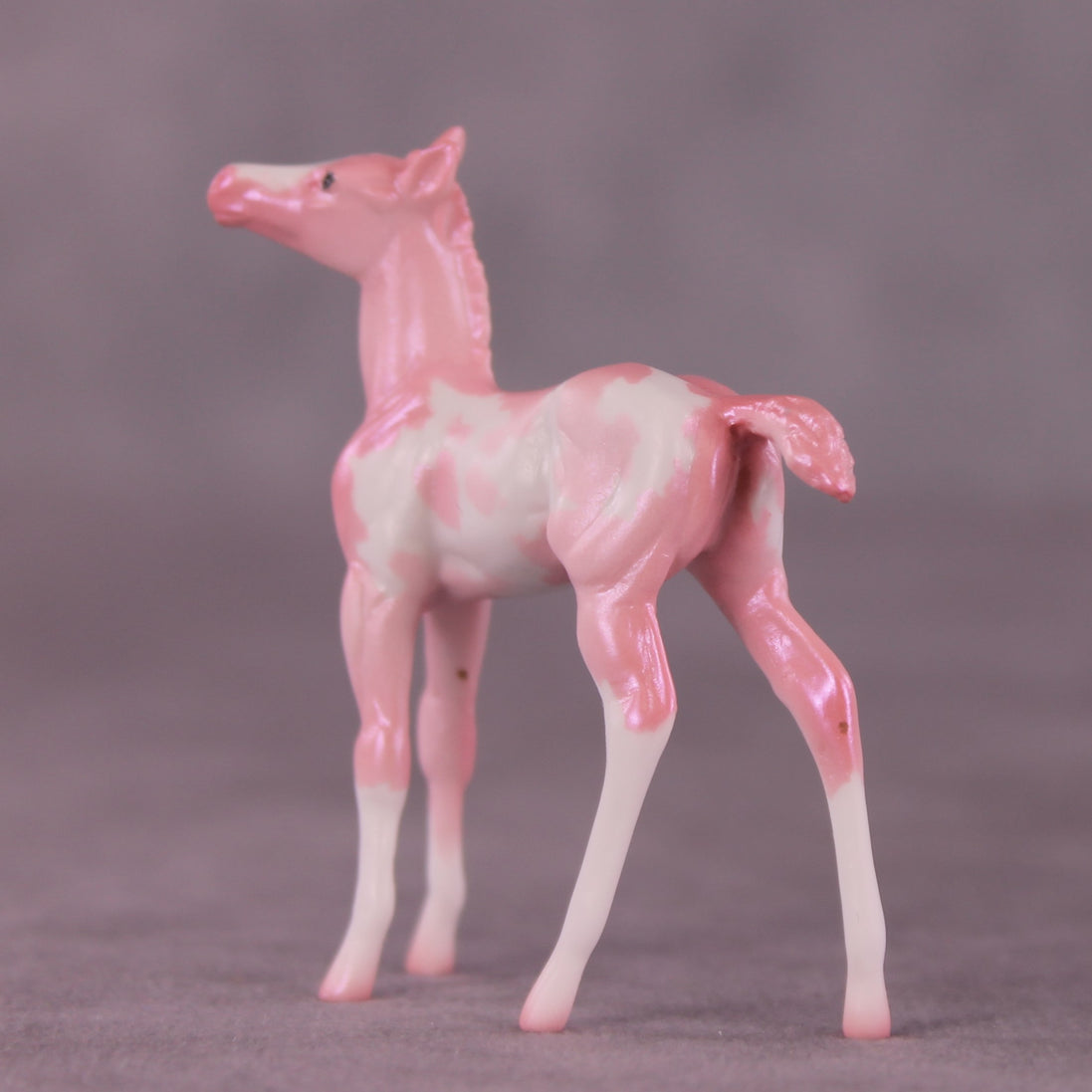 "Pepita" LE-2 Foal Chip by Erin Corbett EQ25