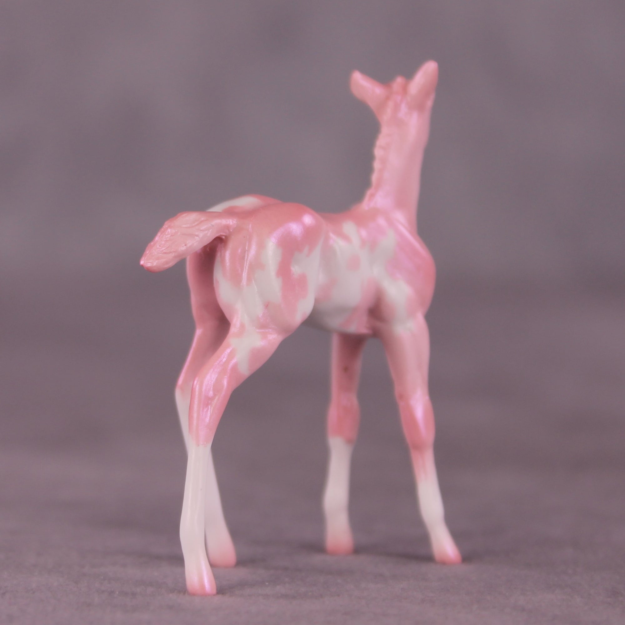 "Pepita" LE-2 Foal Chip by Erin Corbett EQ25