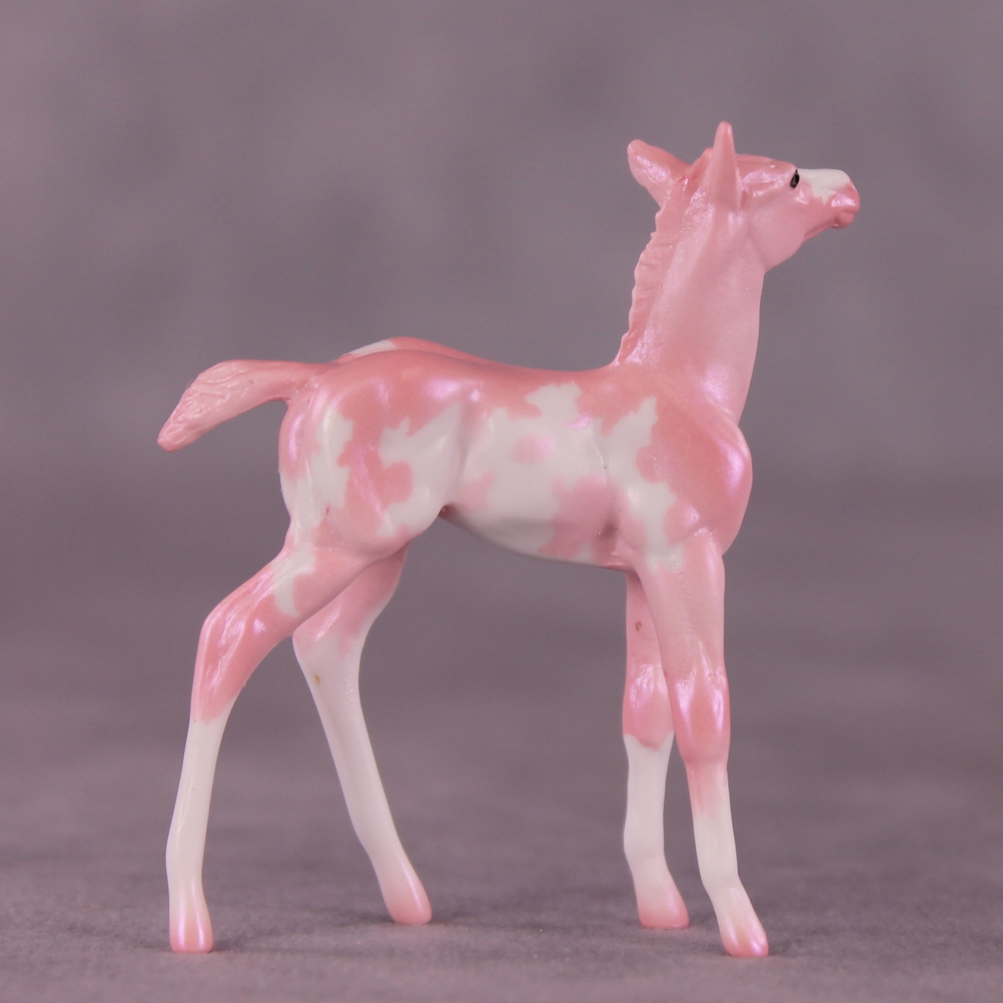 "Pepita" LE-2 Foal Chip by Erin Corbett EQ25