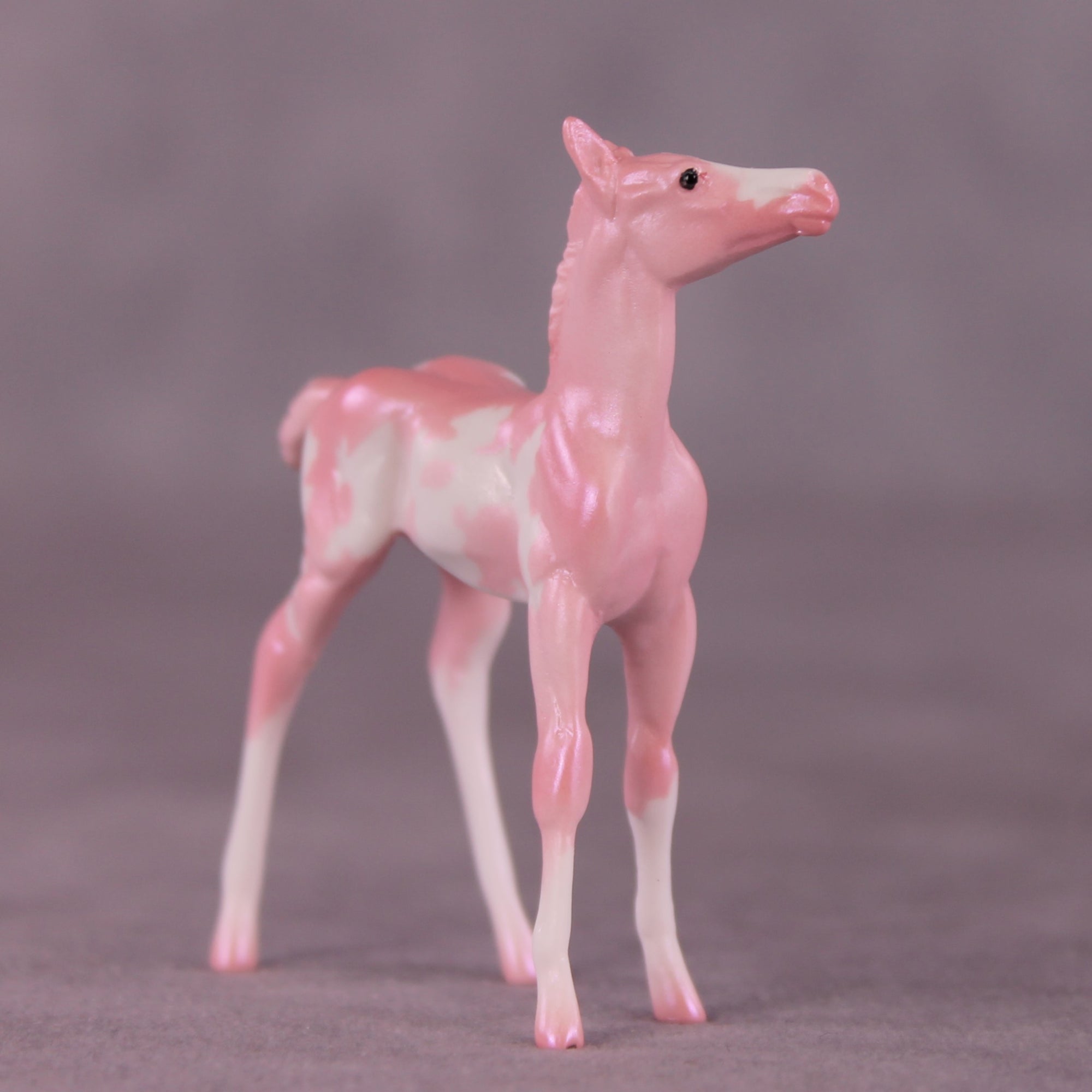 "Pepita" LE-2 Foal Chip by Erin Corbett EQ25