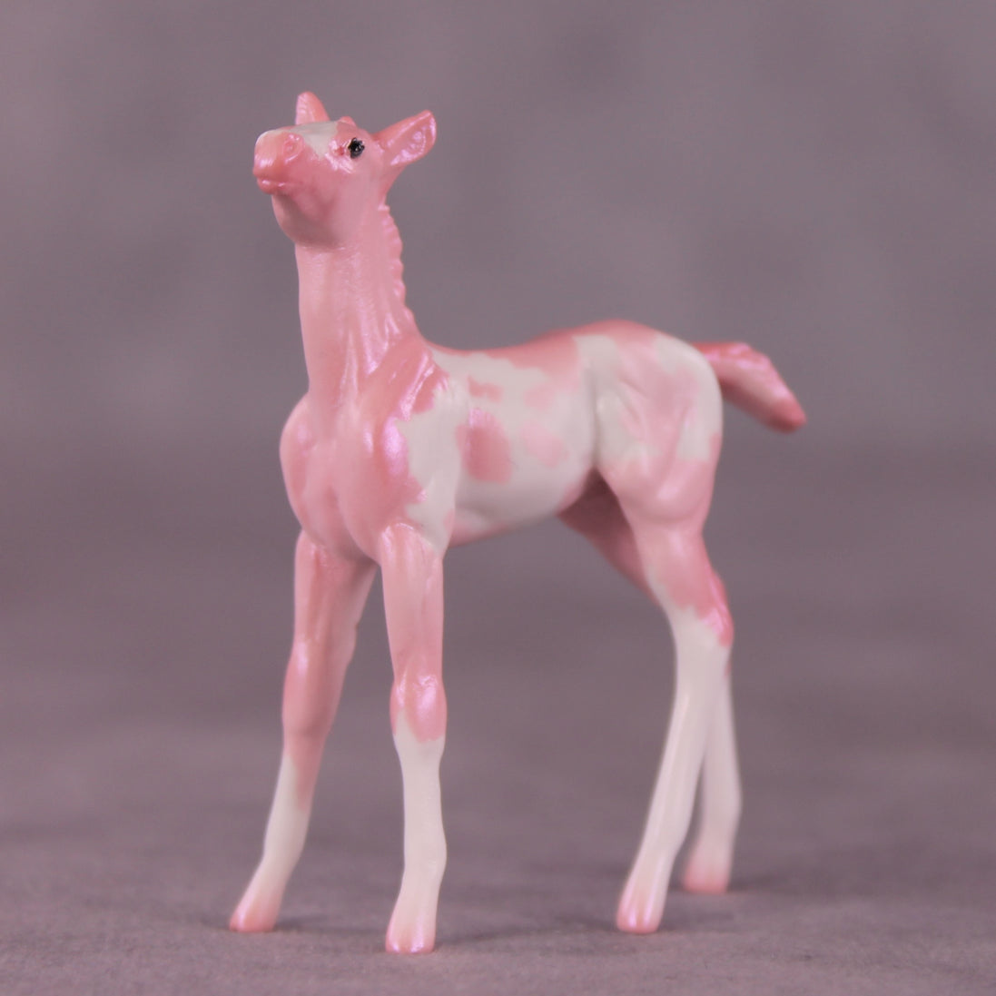 "Pepita" LE-2 Foal Chip by Erin Corbett EQ25