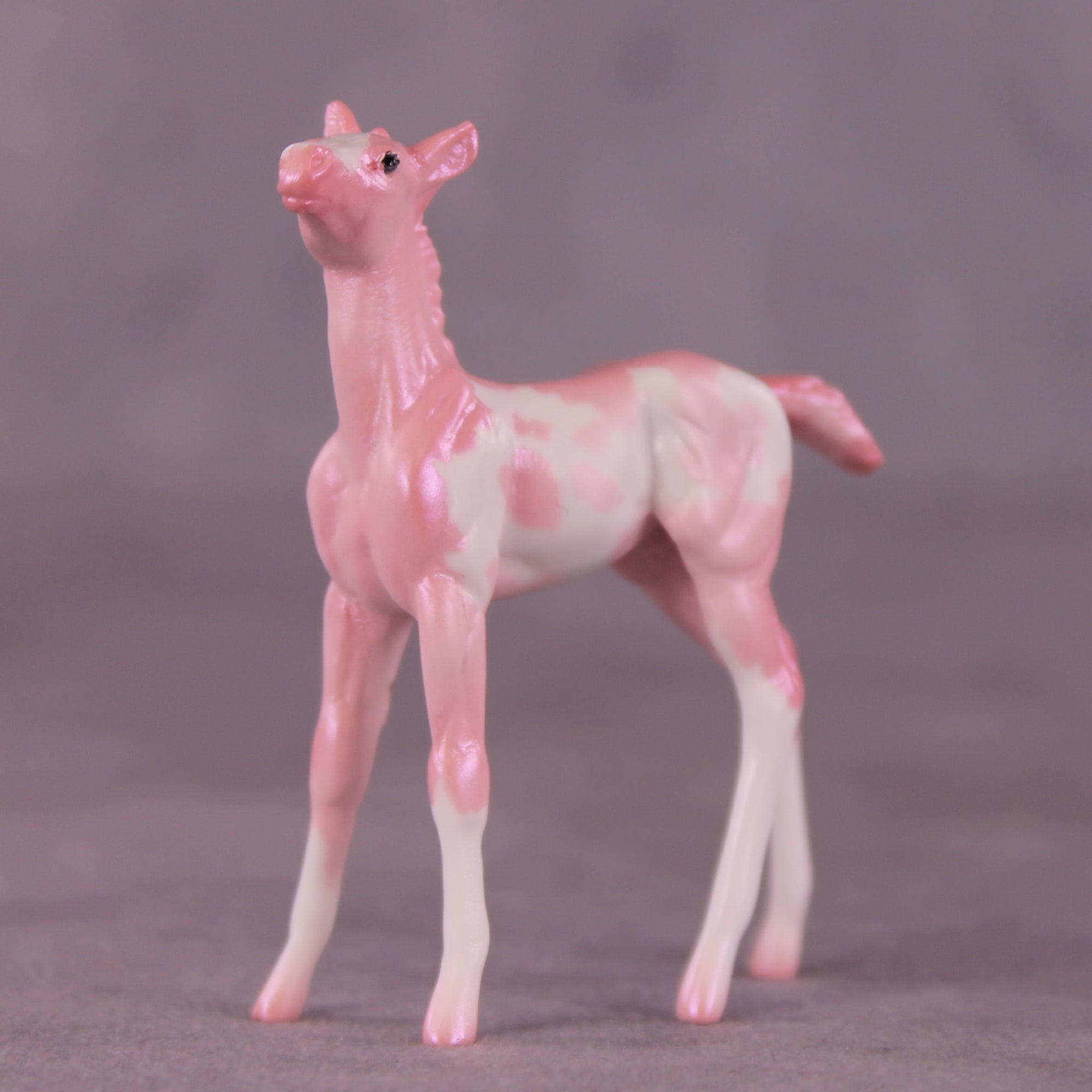 "Pepita" LE-2 Foal Chip by Erin Corbett EQ25