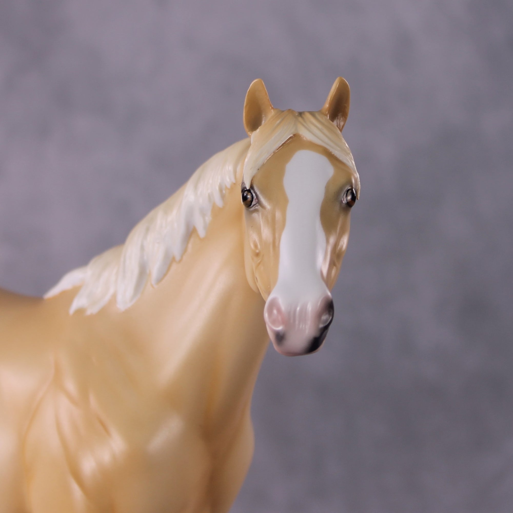 "Winslow" LE-3 2025 Namopaimo Prize Models FCM ISH By Ellen Robbins