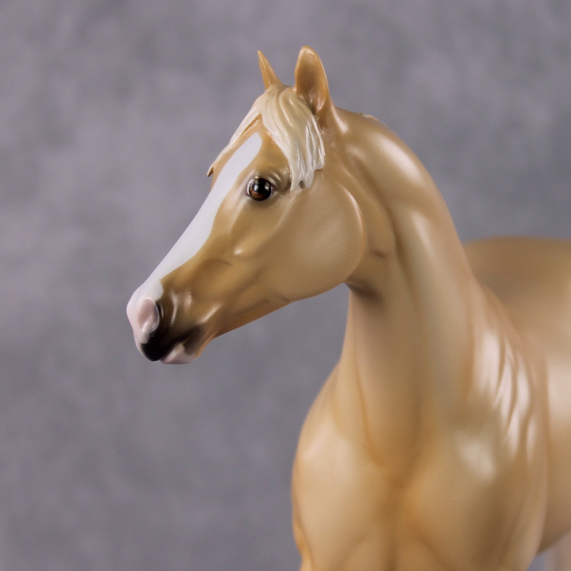 "Winslow" LE-3 2025 Namopaimo Prize Models FCM ISH By Ellen Robbins