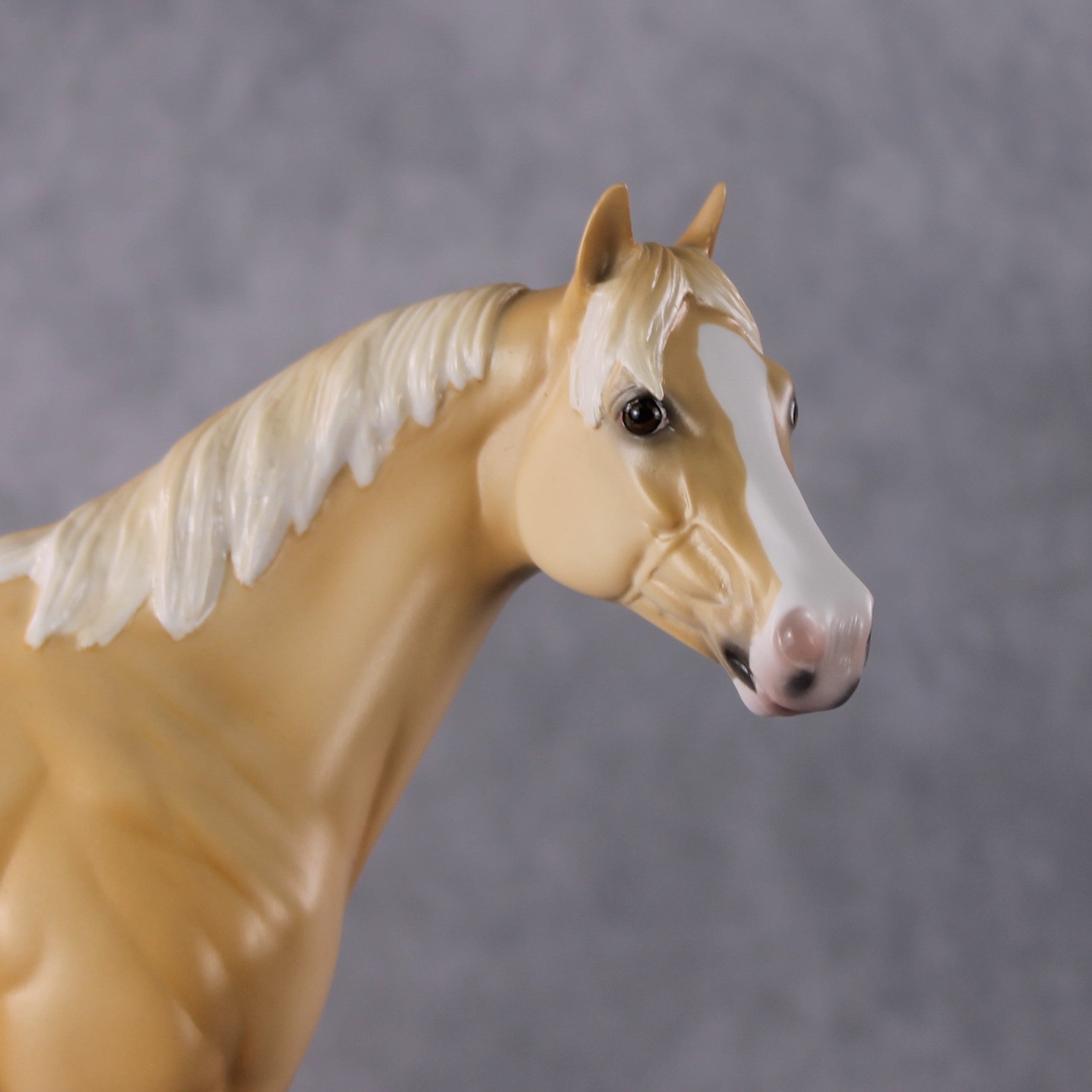 "Winslow" LE-3 2025 Namopaimo Prize Models FCM ISH By Ellen Robbins