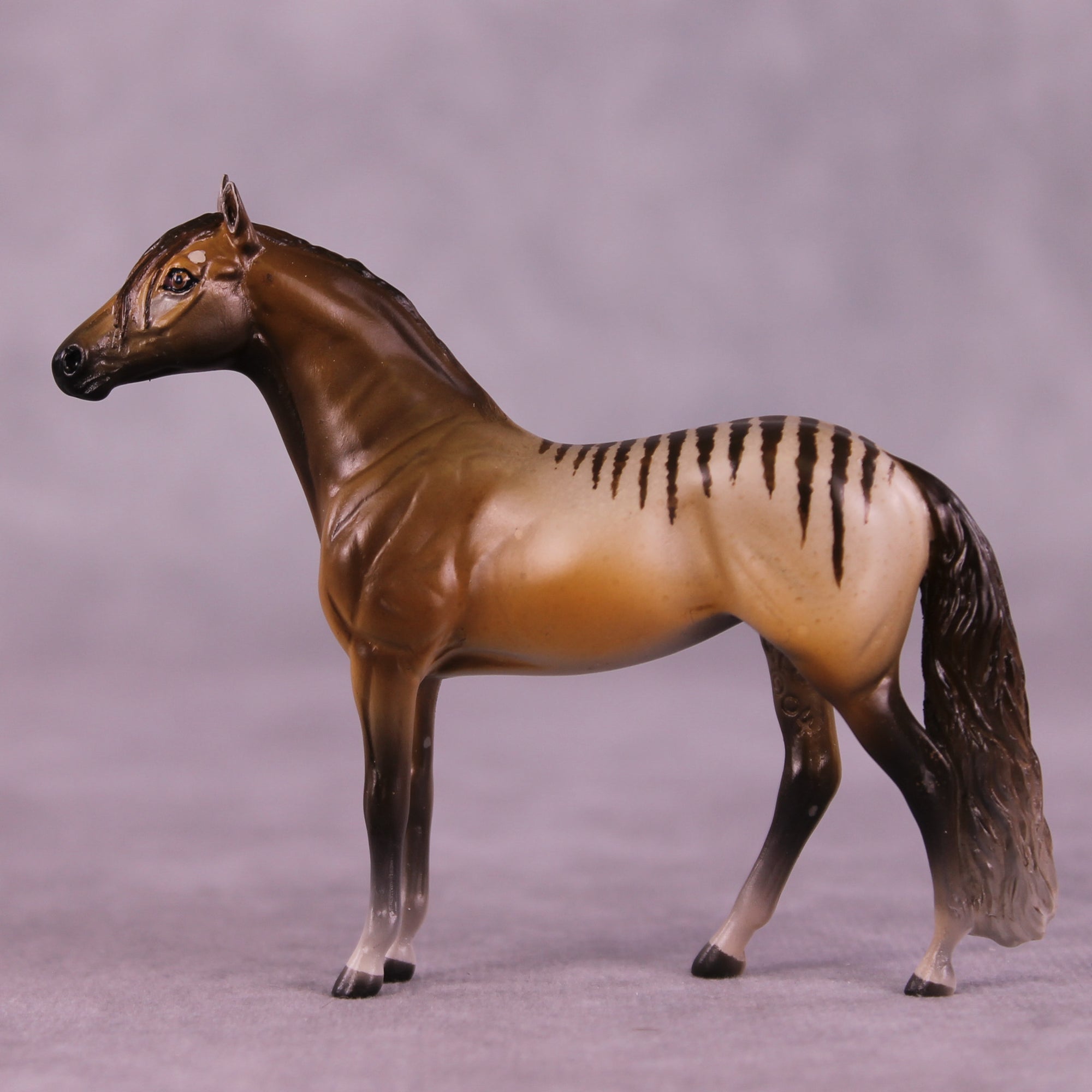Why Is She Still Here? OOAK FCM Chip Andalusian by Tegan Davis GS825