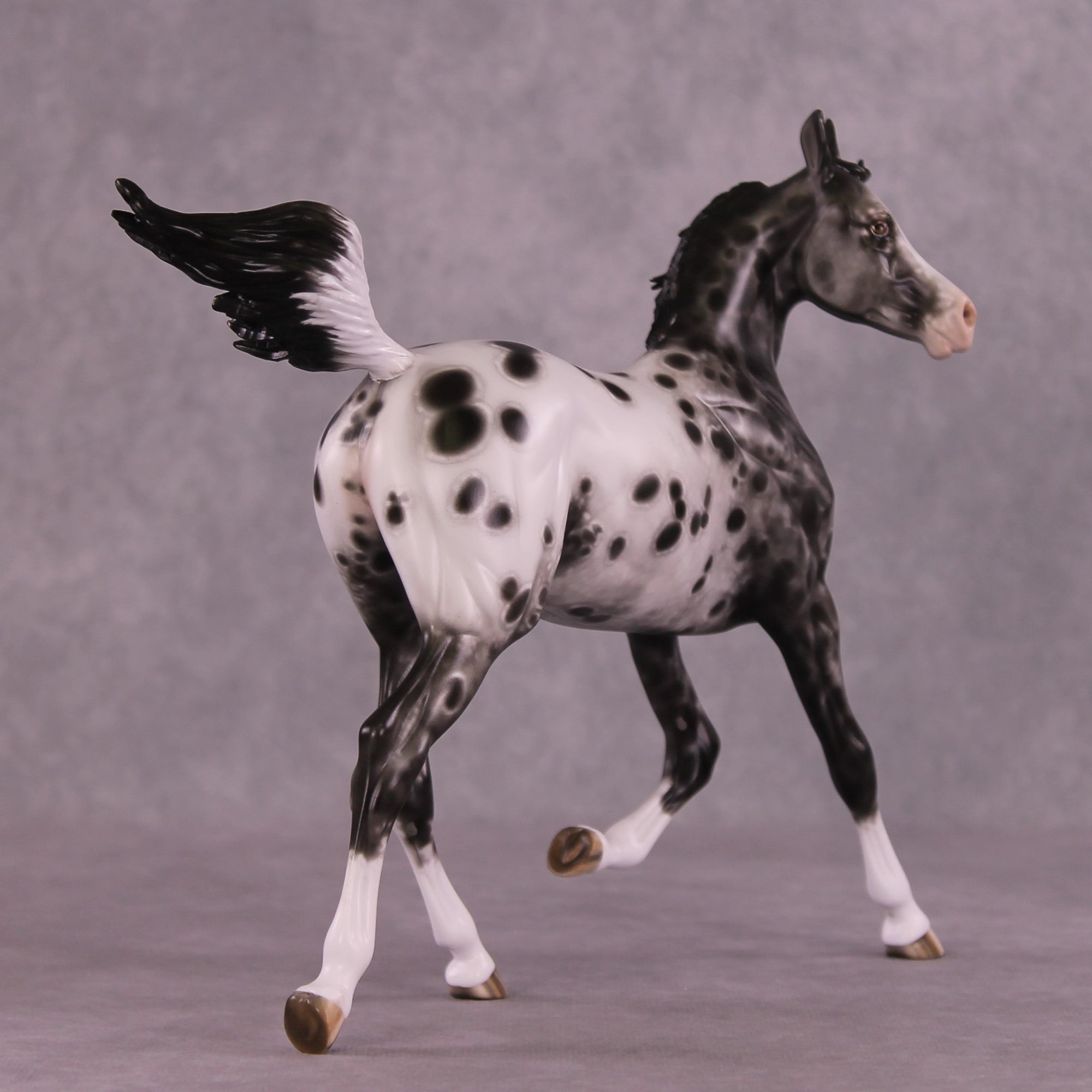 "Mary Kate" OOAK FCM Arabian Yearling by Sheryl Leisure Best Offer 07/08/25