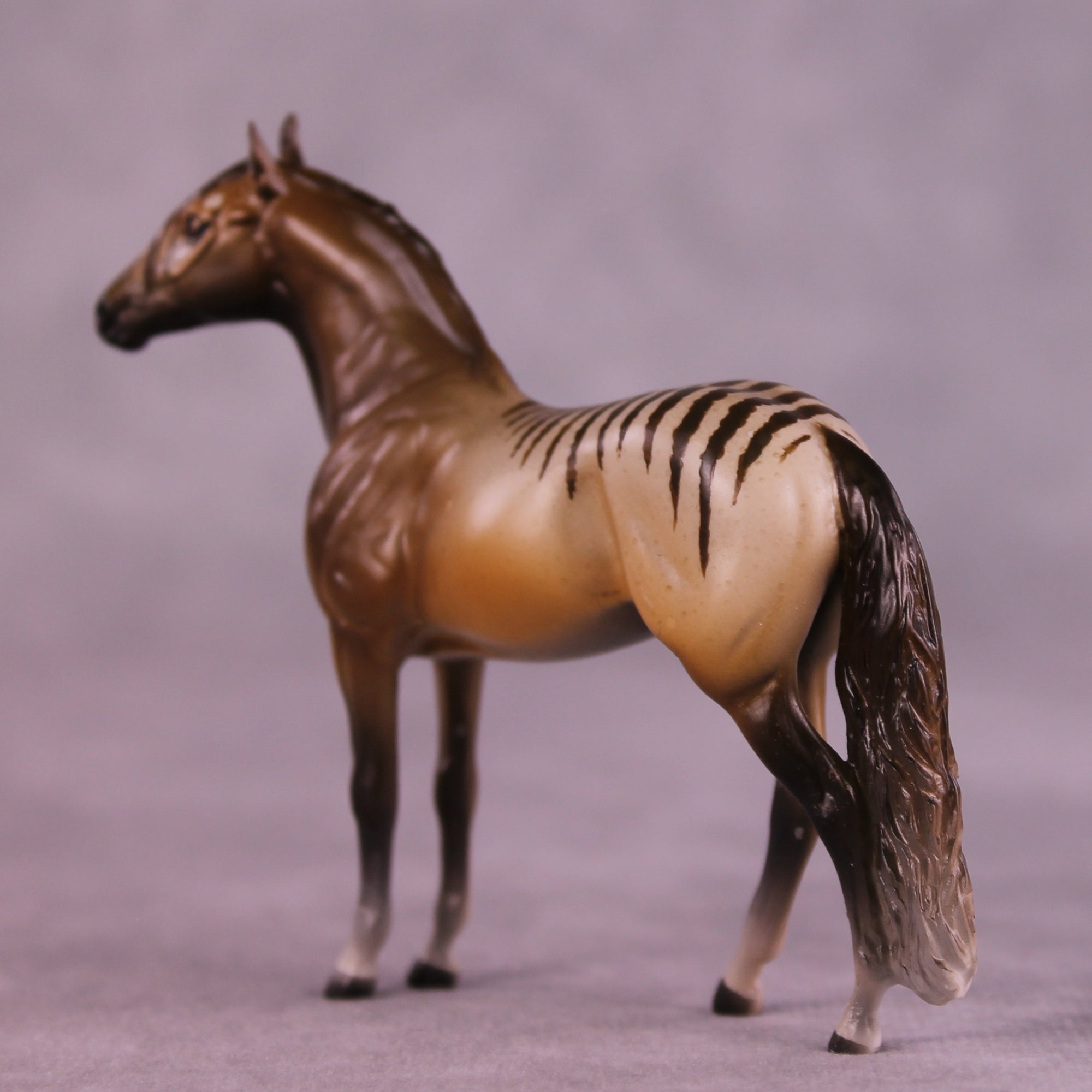 Why Is She Still Here? OOAK FCM Chip Andalusian by Tegan Davis GS825