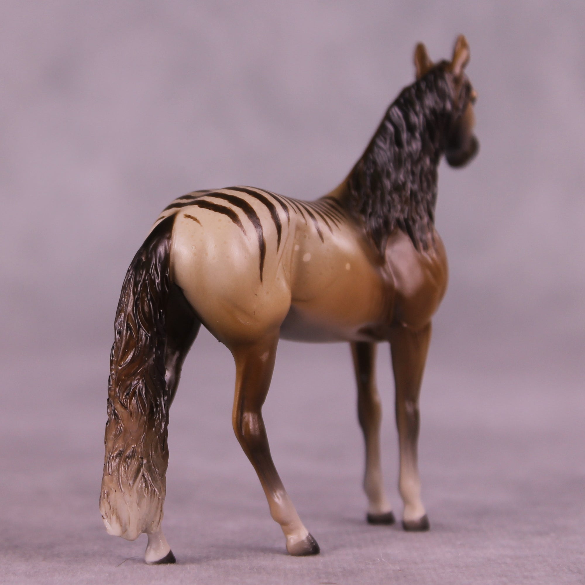 Why Is She Still Here? OOAK FCM Chip Andalusian by Tegan Davis GS825
