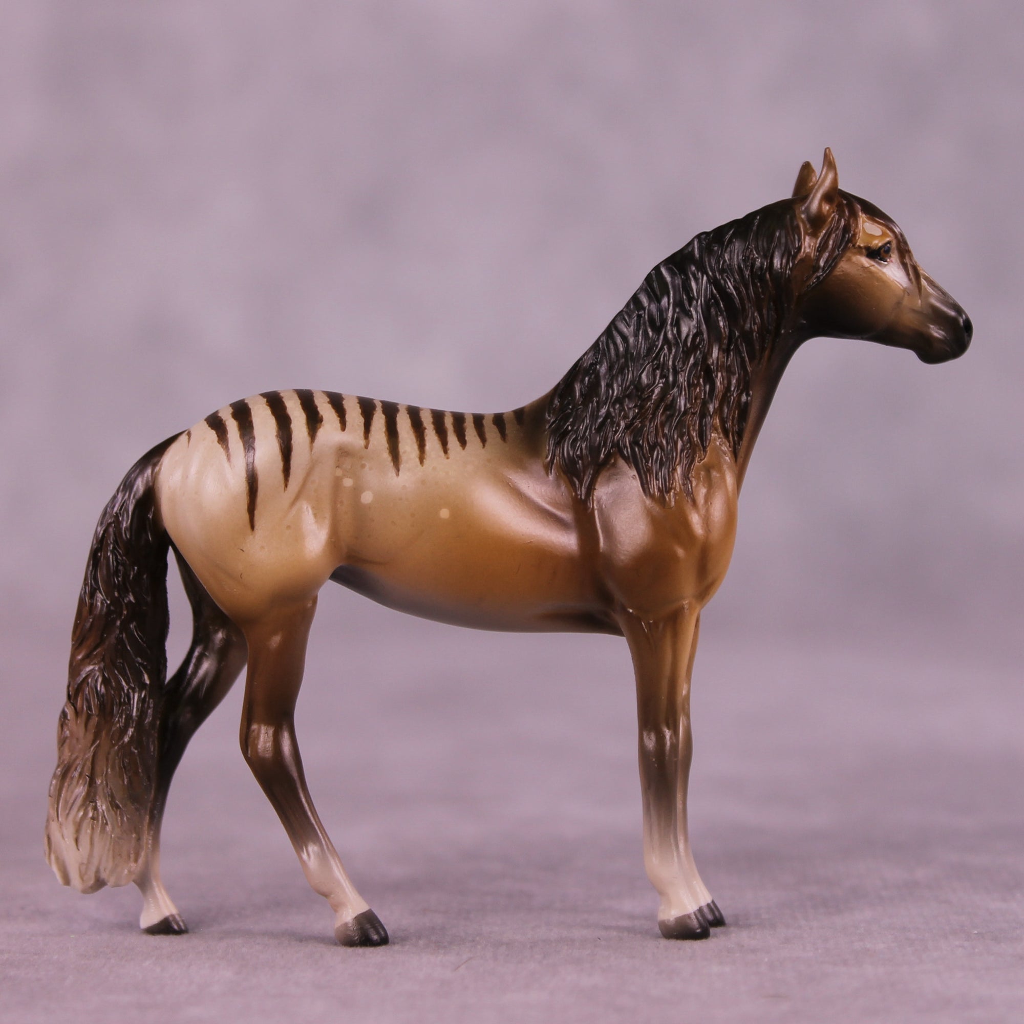 Why Is She Still Here? OOAK FCM Chip Andalusian by Tegan Davis GS825