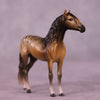 Why Is She Still Here? OOAK FCM Chip Andalusian by Tegan Davis GS825