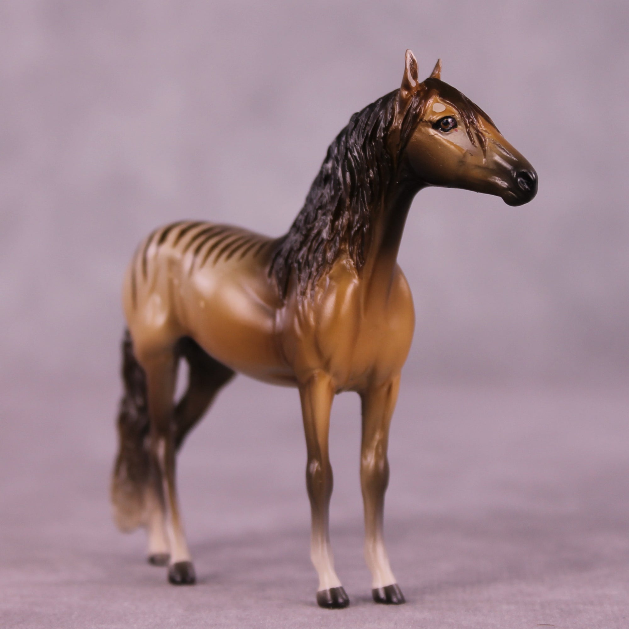 Why Is She Still Here? OOAK FCM Chip Andalusian by Tegan Davis GS825