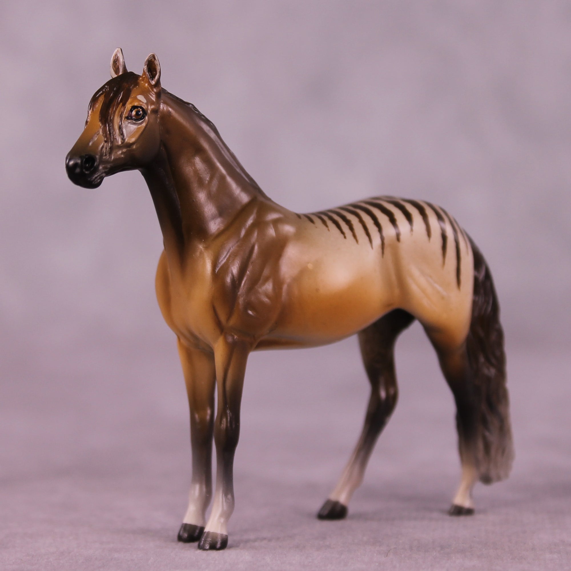Why Is She Still Here? OOAK FCM Chip Andalusian by Tegan Davis GS825