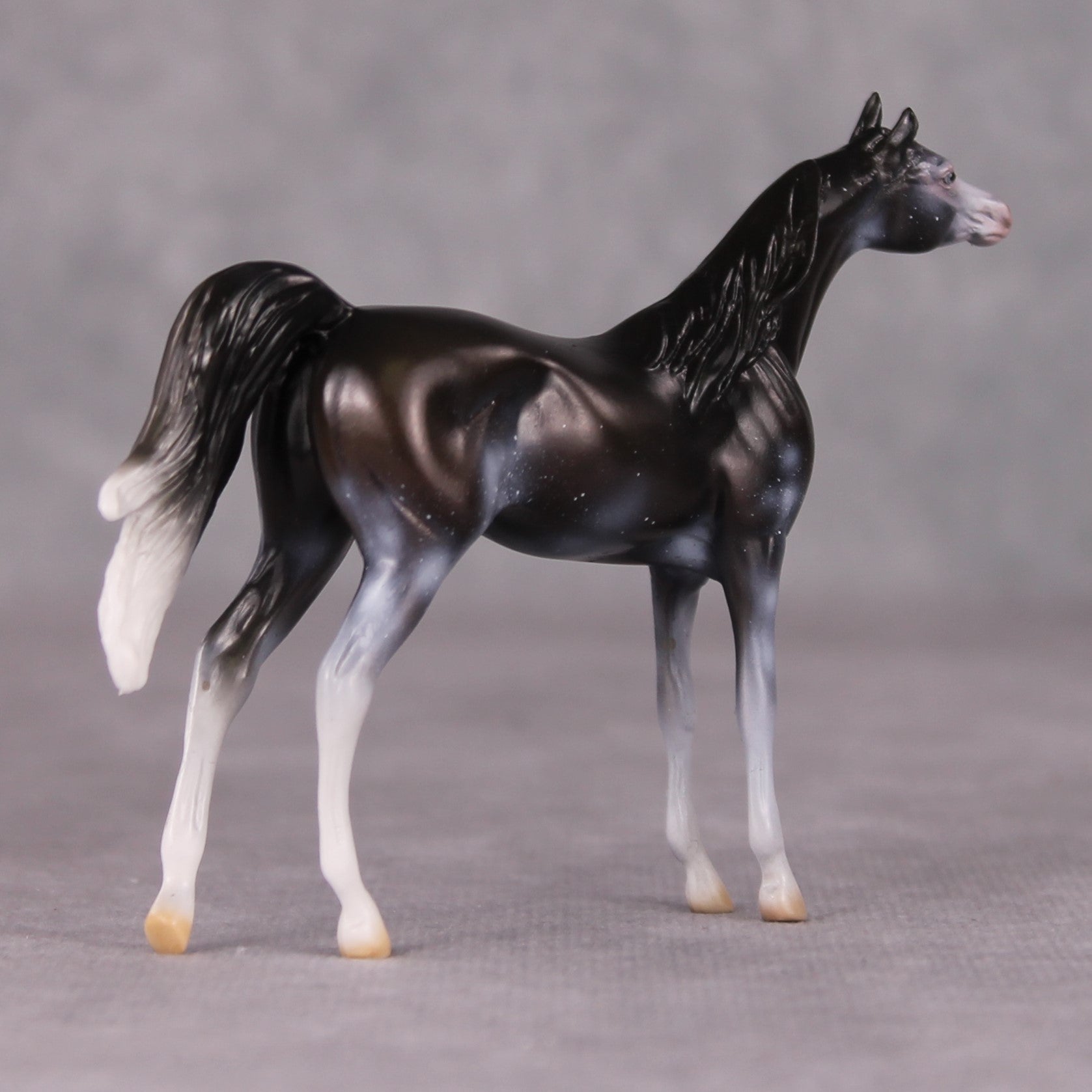 Grimwig - Oliver Twist Chip LE-2 Black Sabino Arabian Chip Painted By Ellen Robbins CL24