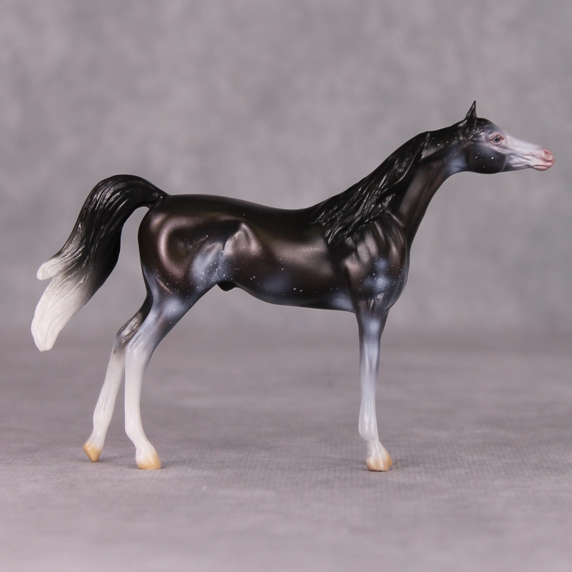 Grimwig - Oliver Twist Chip LE-2 Black Sabino Arabian Chip Painted By Ellen Robbins CL24