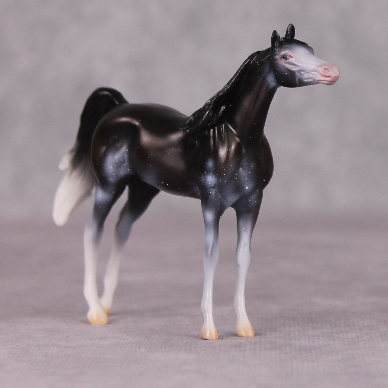 Grimwig - Oliver Twist Chip LE-2 Black Sabino Arabian Chip Painted By Ellen Robbins CL24