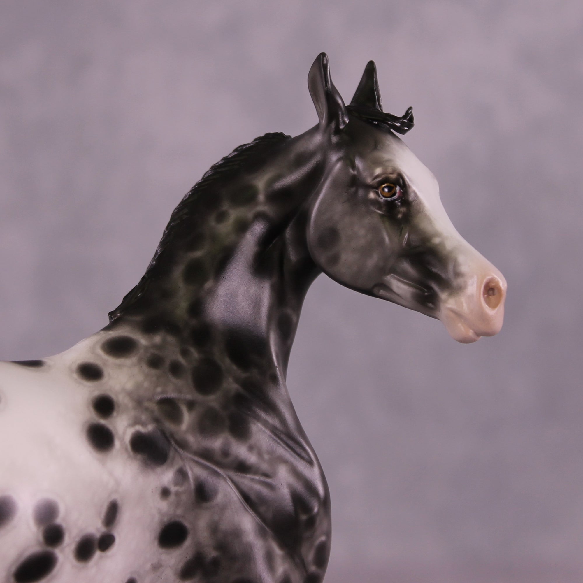 "Mary Kate" OOAK FCM Arabian Yearling by Sheryl Leisure Best Offer 07/08/25