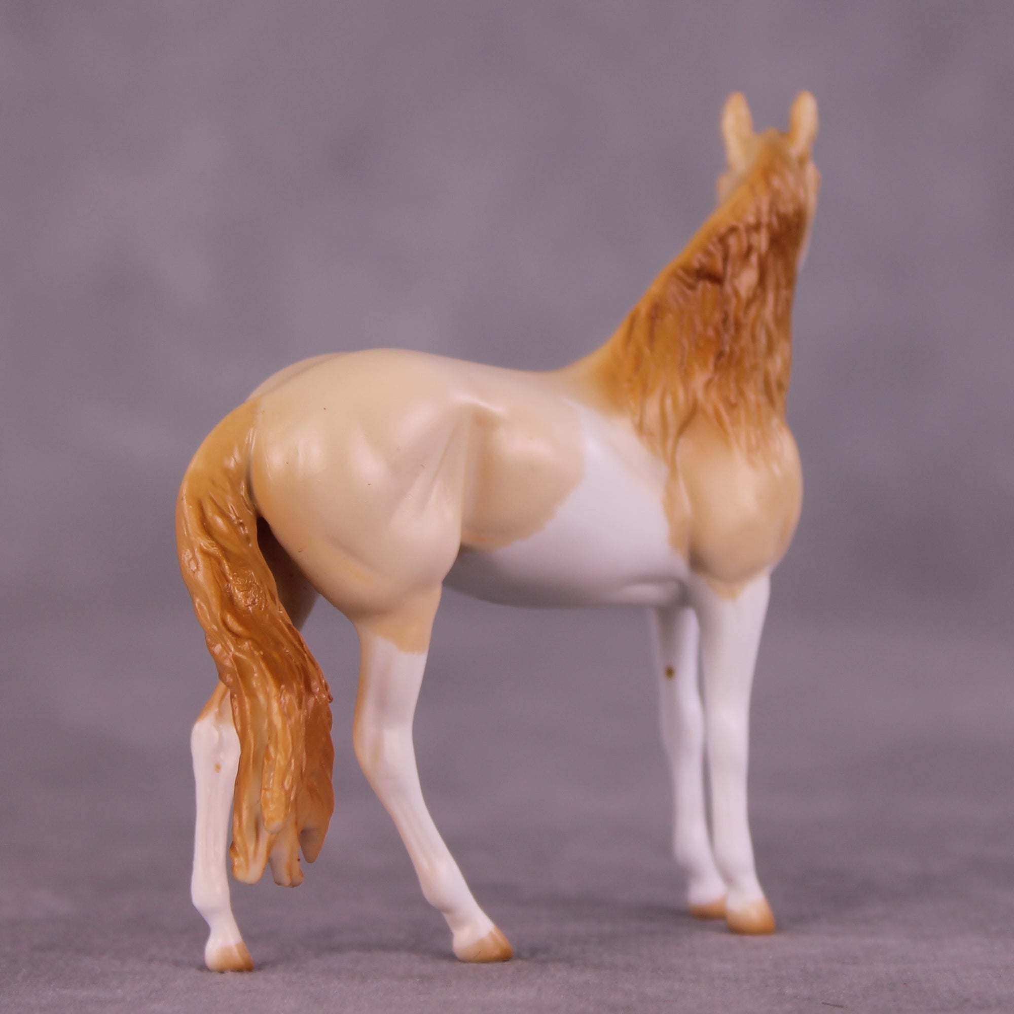 Pick Me OOAK FCM Chip Andalusian by Tegan Davis GS825