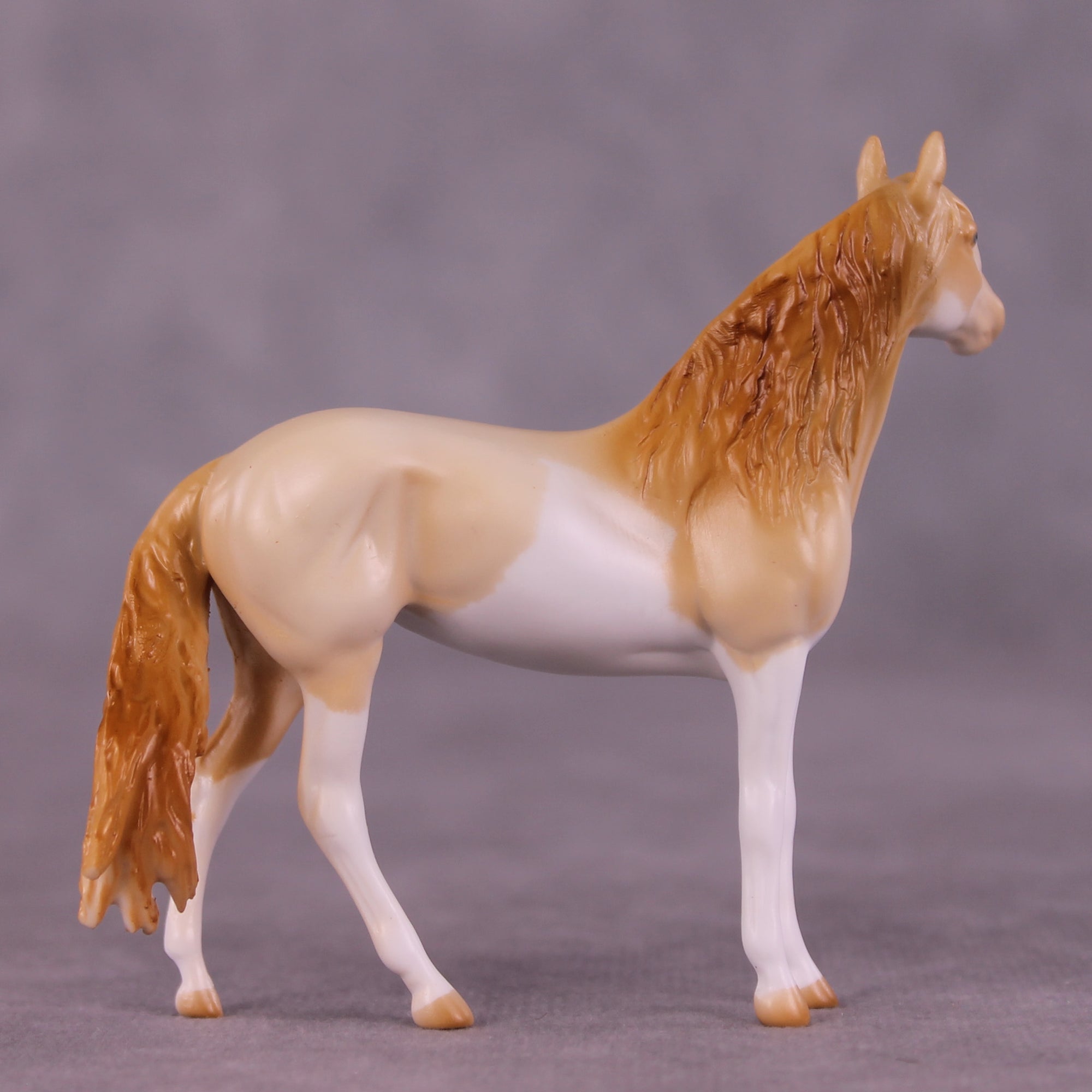 Pick Me OOAK FCM Chip Andalusian by Tegan Davis GS825