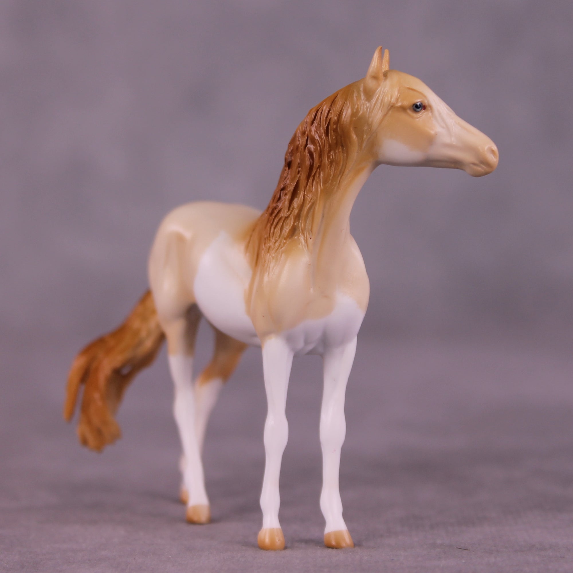 Pick Me OOAK FCM Chip Andalusian by Tegan Davis GS825