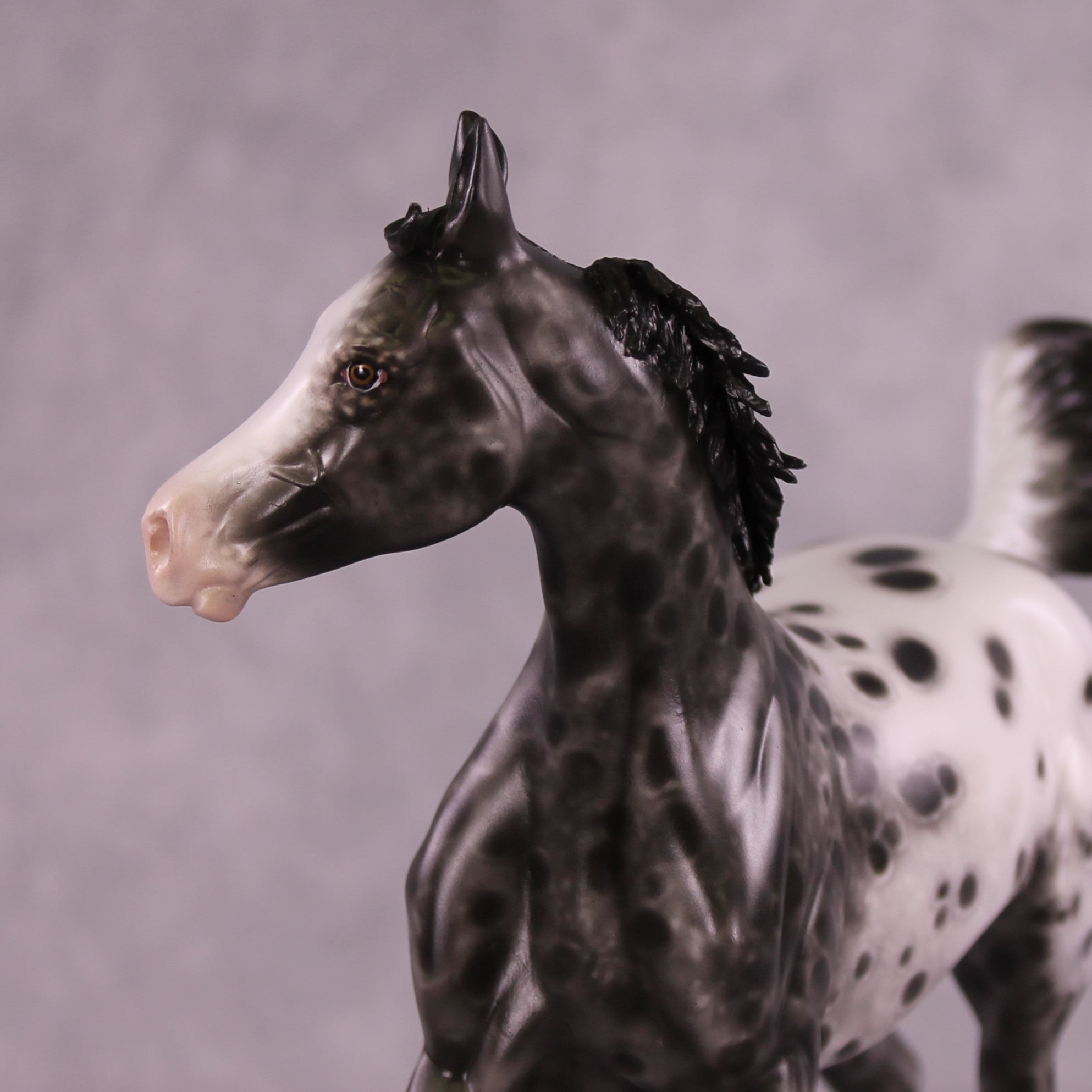 "Mary Kate" OOAK FCM Arabian Yearling by Sheryl Leisure Best Offer 07/08/25