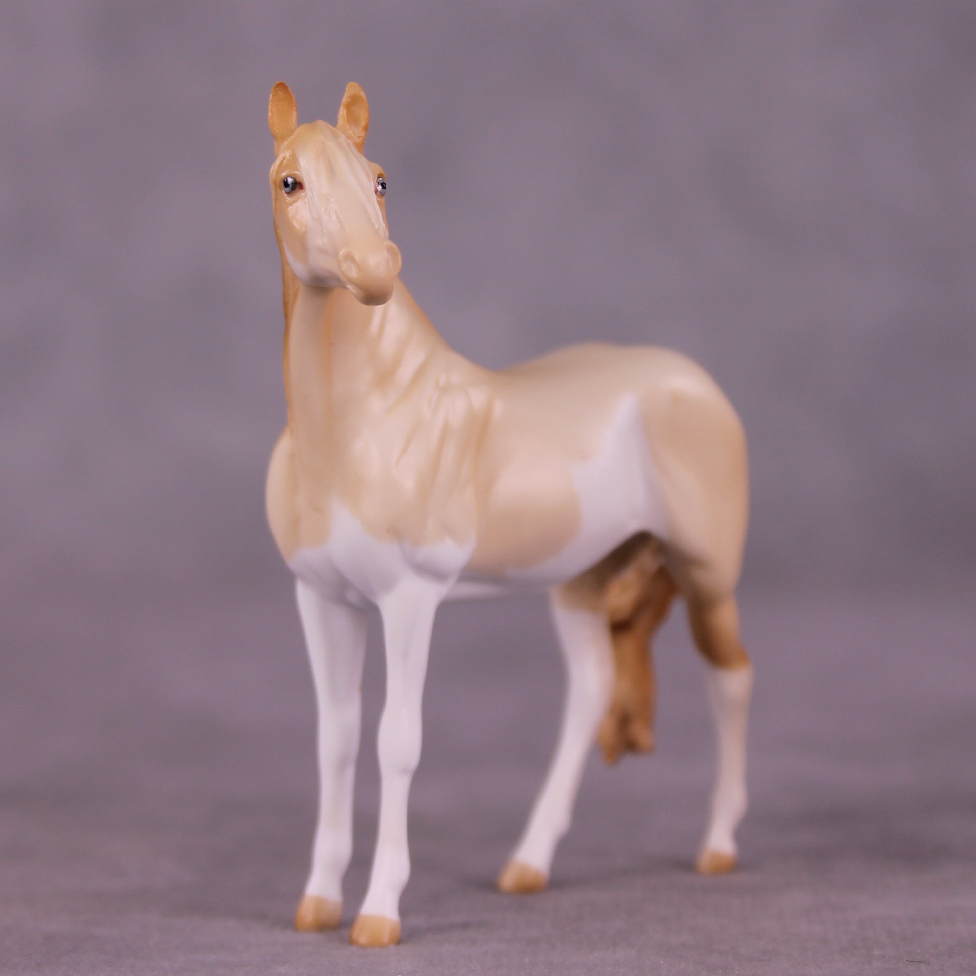 Pick Me OOAK FCM Chip Andalusian by Tegan Davis GS825