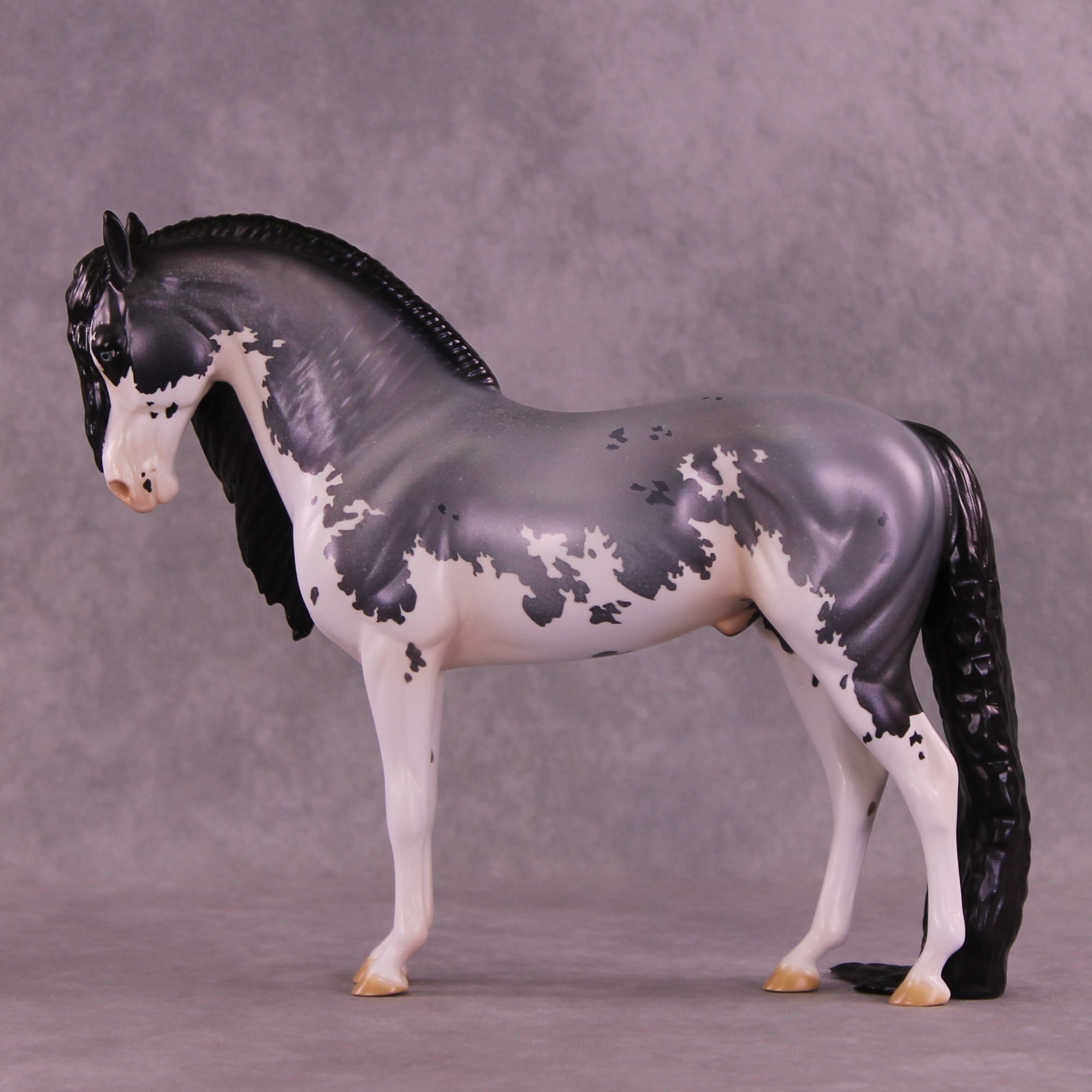 Glacial Fracture OOAK Andalusian by Jess Hamill DDOOAKs25