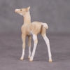 Mini Oliver - Oliver Twist Chip LE-3 Cream Champagne Sabino Foal Chip Painted By Ashley Palmer CL24