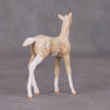 Mini Oliver - Oliver Twist Chip LE-3 Cream Champagne Sabino Foal Chip Painted By Ashley Palmer CL24