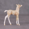 Mini Oliver - Oliver Twist Chip LE-3 Cream Champagne Sabino Foal Chip Painted By Ashley Palmer CL24