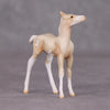 Mini Oliver - Oliver Twist Chip LE-3 Cream Champagne Sabino Foal Chip Painted By Ashley Palmer CL24