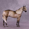 &quot;Cahill&quot; OOAK FCM Ideal Stock Horse by Sheryl Leisure Best Offer 07/08/25