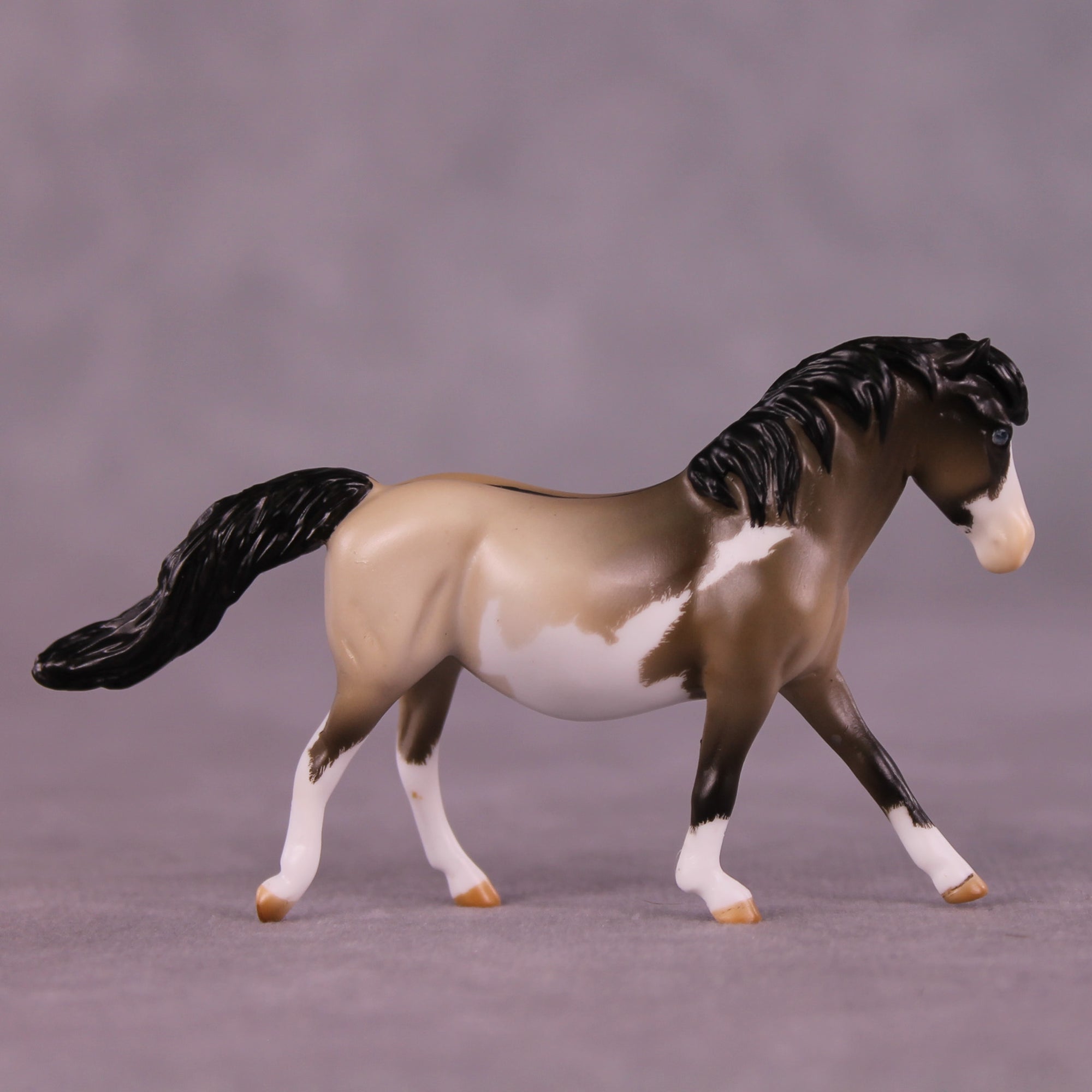 Tummy Hurts 2 OOAK FCM Chip Pony by Tegan Davis GS825