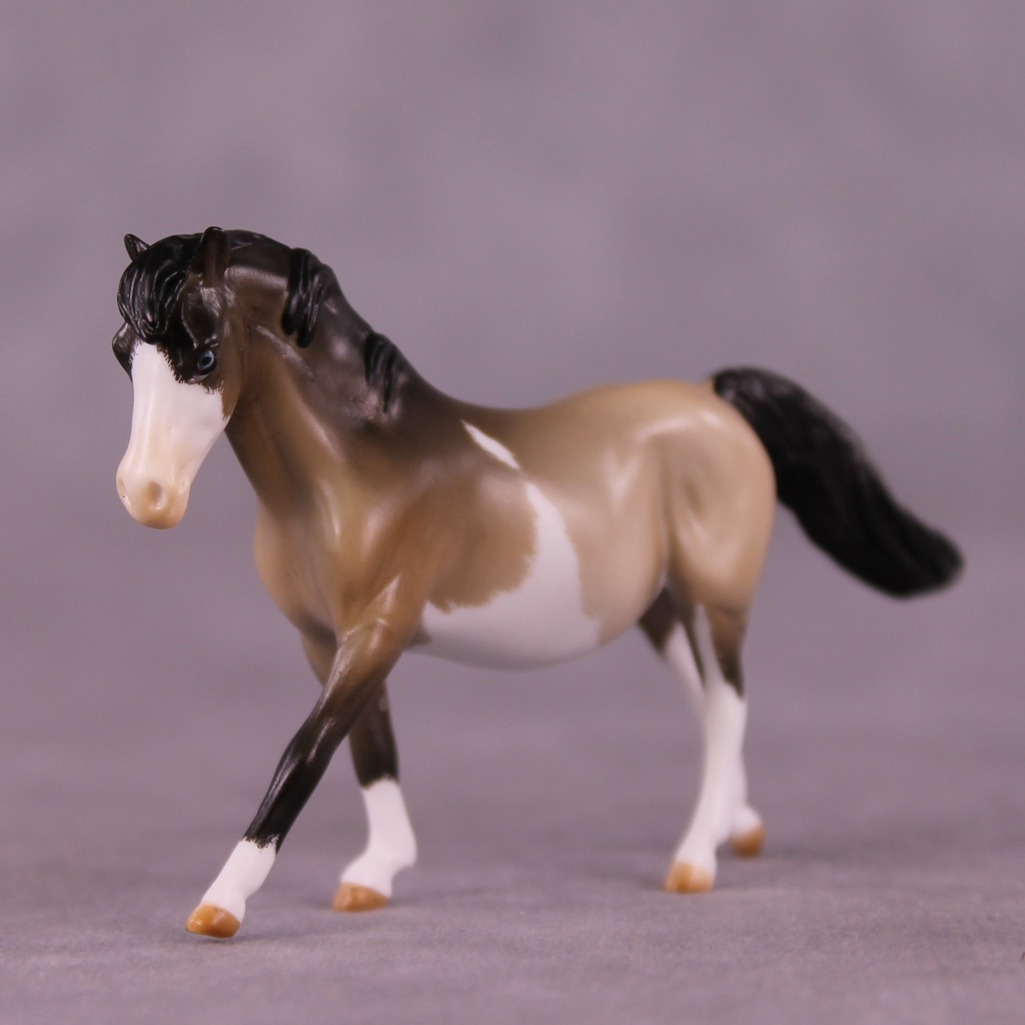 Tummy Hurts 2 OOAK FCM Chip Pony by Tegan Davis GS825