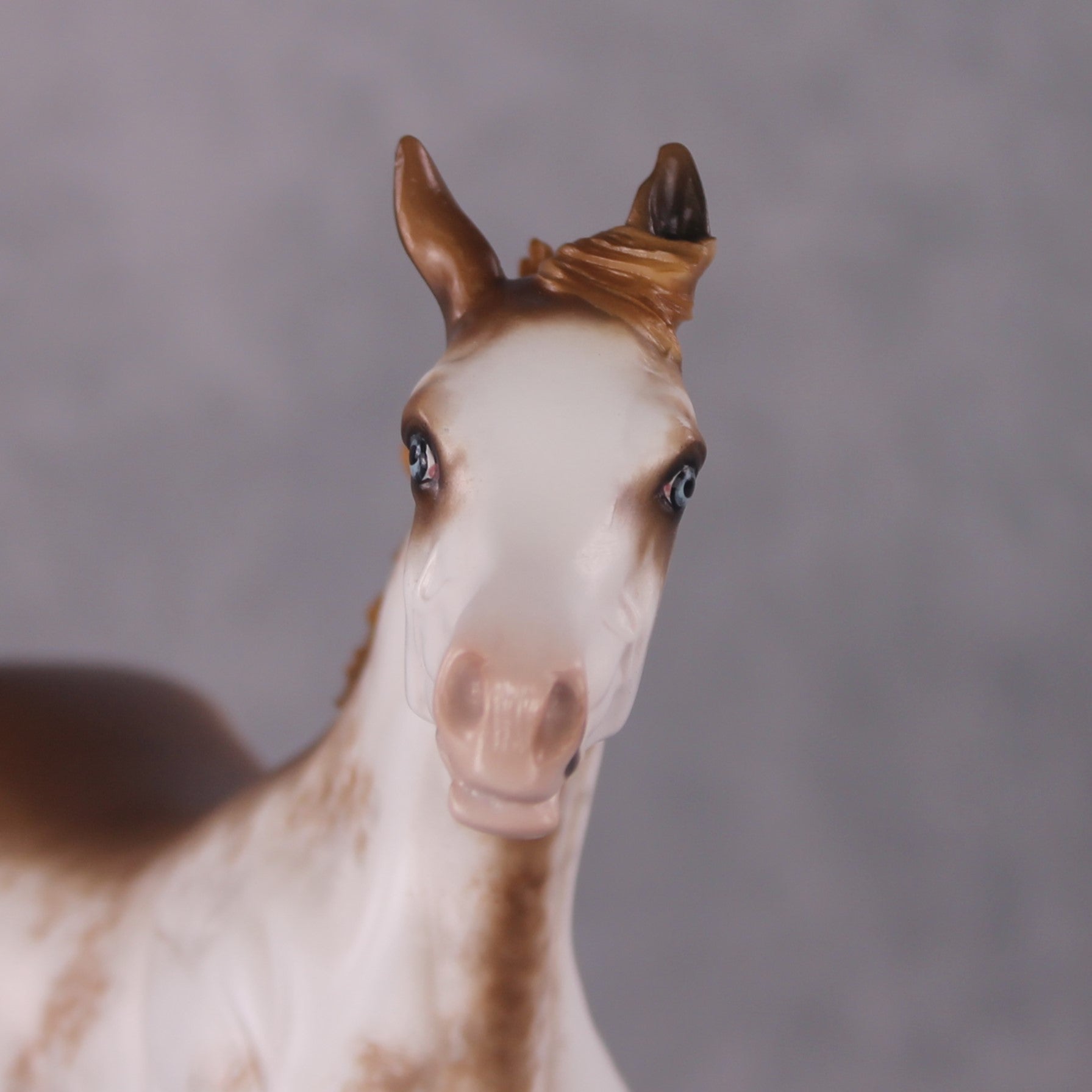 "Skiffle" OOAK Yearling By Sheryl Leisure Best Offer 04/01/2025