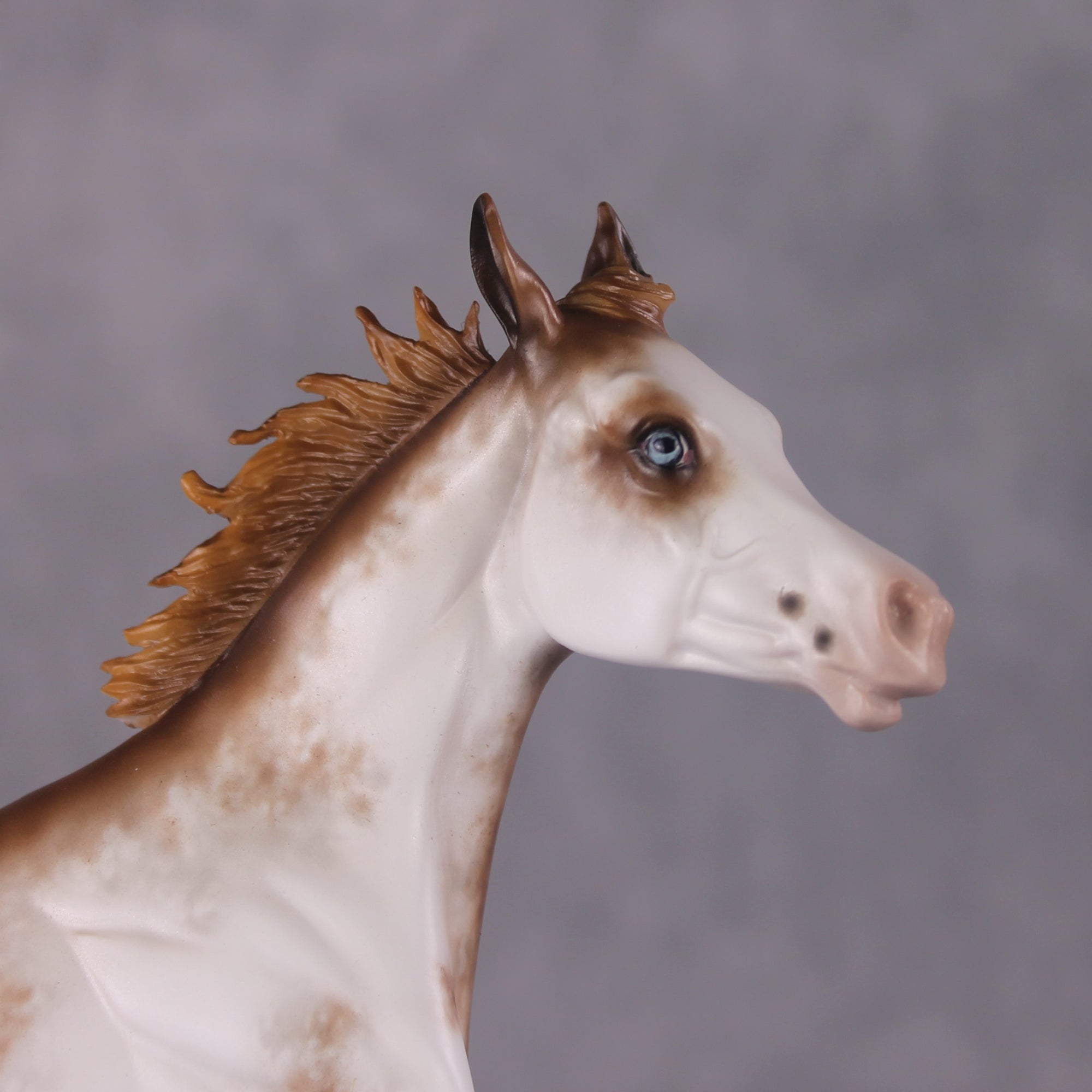 "Skiffle" OOAK Yearling By Sheryl Leisure Best Offer 04/01/2025