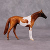 Catachan LE-6 Chestnut Pinto Thoroughbred Chip By Jamie Adamson $99 Chips Sale December 2024