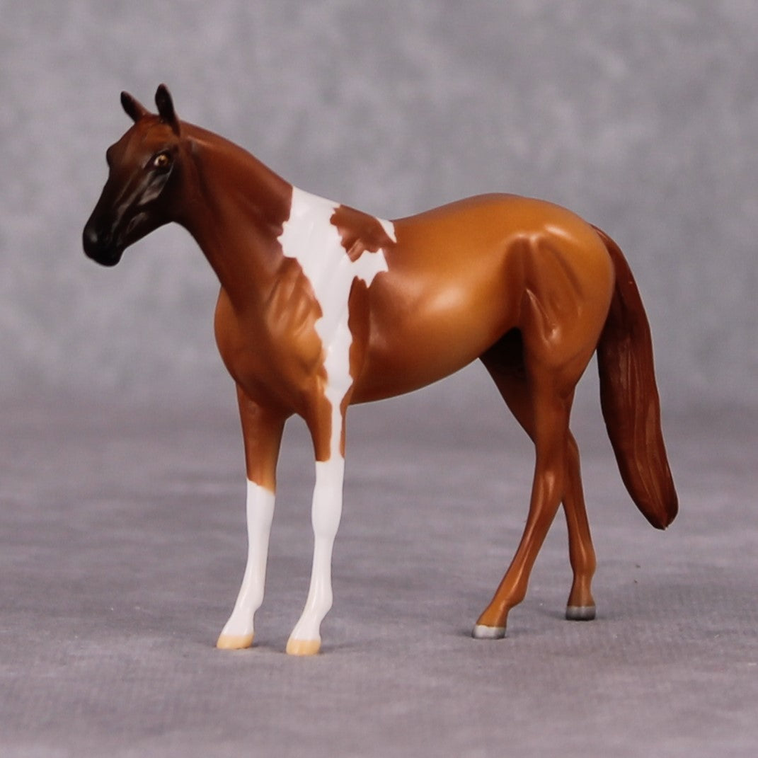 Catachan LE-6 Chestnut Pinto Thoroughbred Chip By Jamie Adamson $99 Chips Sale December 2024