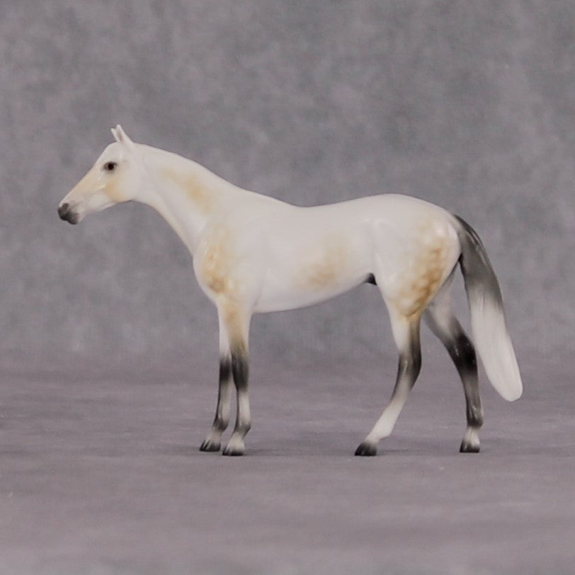 "Julius Caesar" OOAK Thoroughbred Chip By Ellen Robbins CL25 Classic Lit Chips