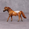 Stormwolf LE-6 Bay Chestnut Appaloosa Pony Chip By Jamie Adamson $99 Chips Sale December 2024